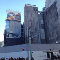 2014年4月に東京を訪れたとき、まだ建物があった銀座日産ギャラリーは、跡形もなく解体されていた。イタリアでは考えられない工期の速さである。