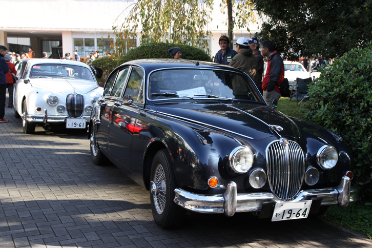 2台並んだ「ジャガーMk2」。1950年代末から60年代半ばにかけて、モータースポーツでも大活躍したスポーツサルーンである。