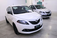 「ランチア・イプシロン」。手前は2021年登録・走行2万9000kmで、1万4700ユーロ（約207万円）。以下、いずれもイタリア付加価値税22％込みで、1ユーロ約140.9円で計算した。