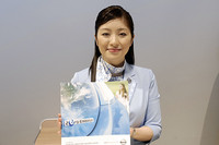 コンパニオン名鑑（日産／ロータス）