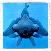 ダイムラーベンツ、注目の日本人アーティストを紹介の画像