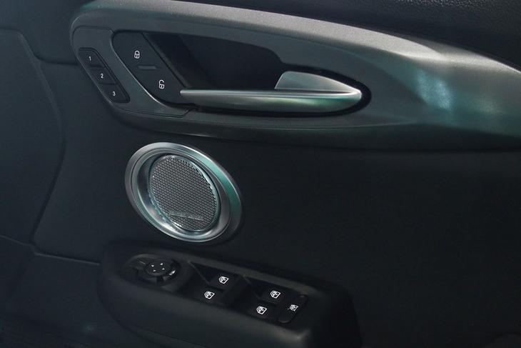 アルファ・ロメオ・トナーレ（ドアパネル）