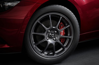 RAYSの鍛造ホイール装着車には、オプションでブレンボのフロントブレーキも用意される。