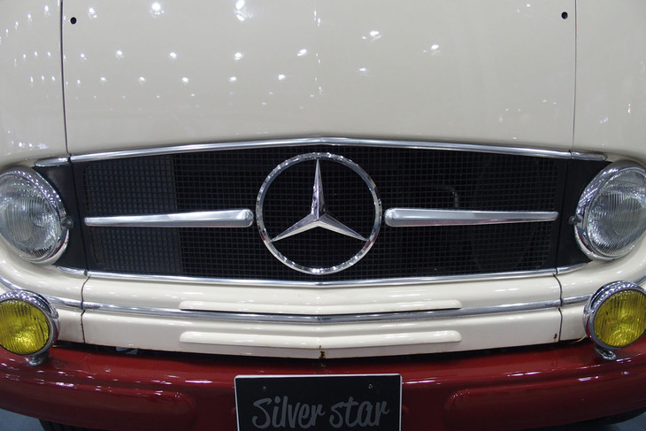 メルセデス・ベンツ319バス（1963年）／シルバースター
