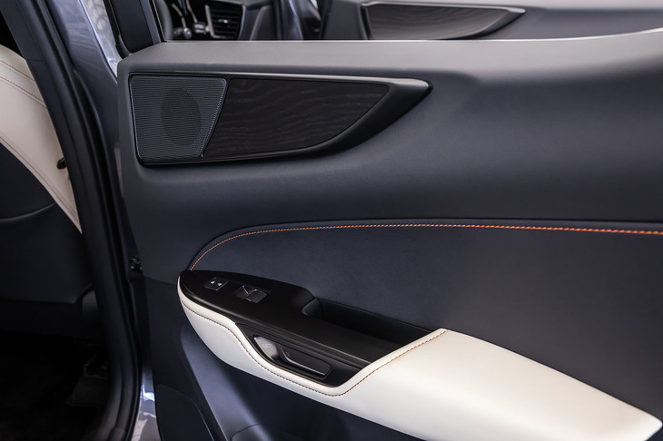 NX450h＋“バージョンL”（ドアパネル）