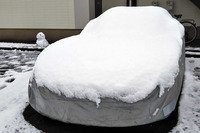 ゴールデンウイーク前にいったん帰ろうと思っていたのだが、3月末には季節外れの降雪が。去年も桜が咲いてから関東で雪が降ったし、コロナも怖いが、気候変動にも不安を覚えるここ最近の日本である。