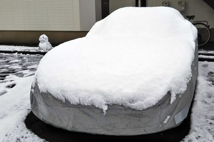 ゴールデンウイーク前にいったん帰ろうと思っていたのだが、3月末には季節外れの降雪が。去年も桜が咲いてから関東で雪が降ったし、コロナも怖いが、気候変動にも不安を覚えるここ最近の日本である。