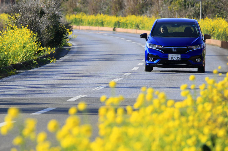 房総フラワーラインとは、館山市宮城から南房総市和田町までの海沿いを走る道で、沿道に咲く四季折々の花がドライバーの目を楽しませてくれる。