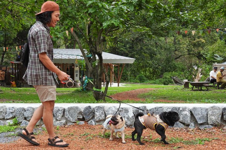 元気いっぱいに動き回るミニチュアブルドッグ。せっかくなので接写させてもらったのだが、あまりに動きが活発なため、うまく撮影できなかった。