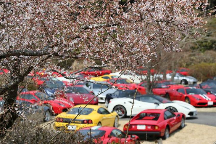 ガーデンの桜は見ごろを終えてしまったが、一部が満開状態で残っていてブランチに華を添えた。