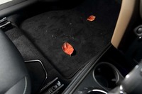 案の定、フロアマットには落ち葉や枯れ草がついてしまった。きちんと払ってから乗ったはずなのに。