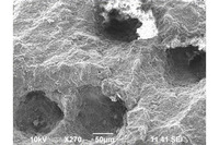 「表面再生ゴム」の顕微鏡画像。