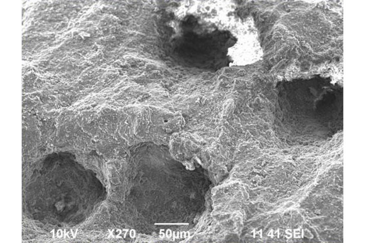 「表面再生ゴム」の顕微鏡画像。
