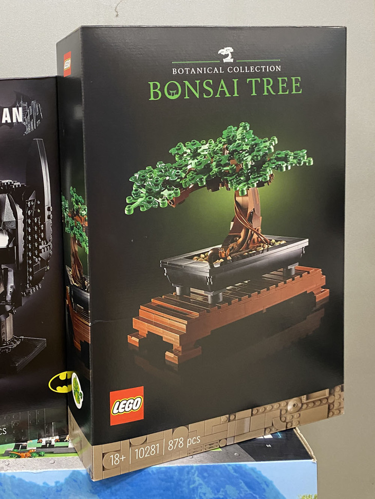「BONSAI TREE」は「ボタニカル・コレクション」のひとつ。思いがけずジャコモ君の役に立った。