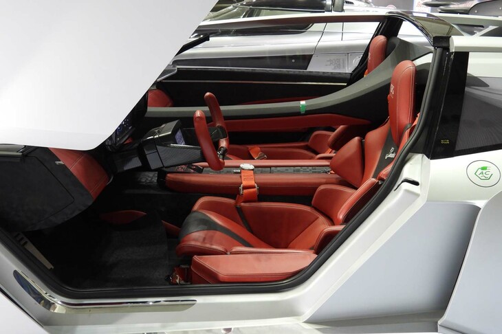 バンディーニ・ドーラ（2020年デビュー）