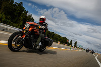 他の「○○グライド」という車名のモデルが「ツーリング」や「CVO」のファミリーに属するのに対し、「スポーツグライド」だけは「ソフテイル」ファミリーに属する。