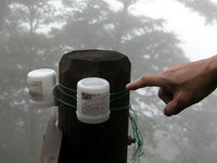 その容器には、「丹沢における森林衰退調査のためのオゾンの測定」と書かれていた。神奈川県自然環境保全センターが行っている調査らしい。