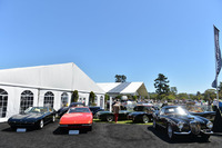 ボナムスのオークション会場。この週末に開催されるオークションの数は5、6を数える。入場料を払えば（なかには無料のオークションも）、会場内に入って自由に出展車両を見ることができるのだ。オークションを巡るのも、博物館級の楽しみ。
    