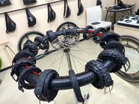 ベルトを展示した一角。32ユーロ（約5200円）から。