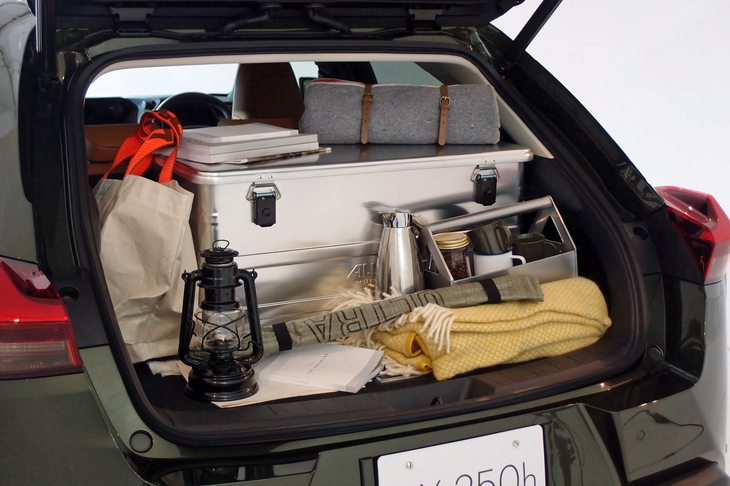 レクサスUX250h“バージョンL”（ラゲッジスペース）