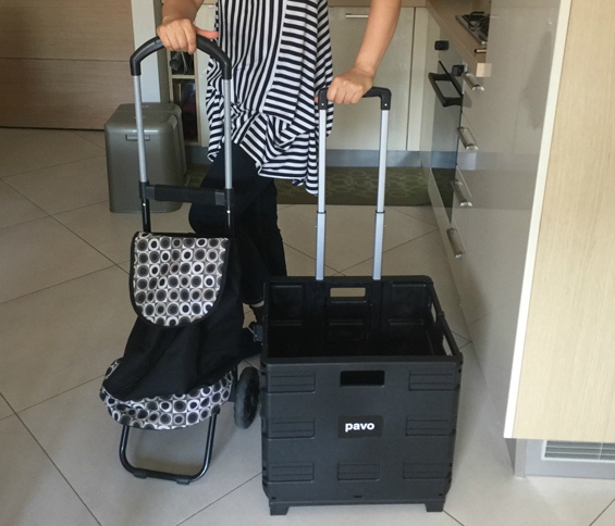 2017年8月、長年使ってきた買い物用カート（左）が古くなったので、新たにトロリー（右）を買った。この商品は、ドイツから届いた。