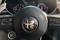 アルファ・ロメオはフェラーリの母。フェラーリをこよなく愛する私にとって、アルファ・ロメオは常に気になる存在だ。今回は「トナーレ」に大注目し、試乗を希望したが、あいにく出展中止となり試乗できなかった。