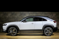 サイドビューではフェンダーモールの意匠に注目。特にフロントがわかりやすいが、前側を立て気味に、後ろ側は傾斜を緩めにと、前後非対称なデザインとすることで動きを見せているのだ。