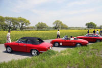 新緑と満開の菜の花の黄色にアルファの赤が映える。左端の1965年「ジュリア・スプリントGTC」は、64年から66年にかけて約1000台のみ作られたモデル。