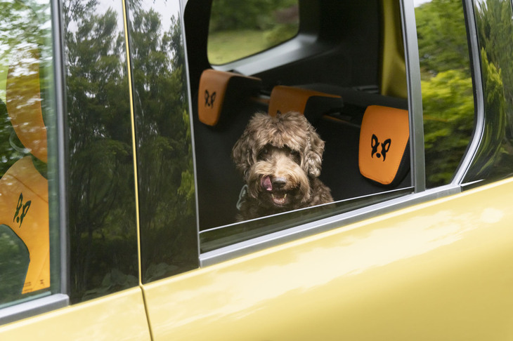 リアウィンドウからこんにちは。自分の家に居るかのような落ち着きが感じられる。