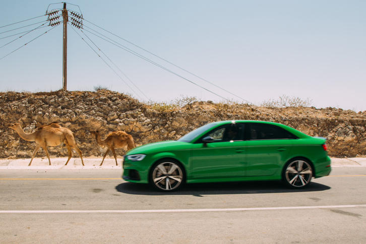 ラクダが歩くオマーンの道を行く「RS 3セダン」。燃費は欧州の複合モードで8.3リッター/100kmを記録する。