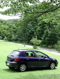 307もCピラーは太いが、ゴルフの重厚感はない。軽快なウィンドウグラフィックに注意。
	 