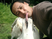 取材と同時にななんと“オオカミ取材”も敢行！　川上郡標茶町虹別にある「オオカミのネイチャースクール」では、手作りログキャビンにて、自然保護のお話と世界的にも珍しいオオカミの見学が可能。約2時間で大人2000円（電話：01548-8-2523※要予約）。これまたスバラシイ体験でした。リクエストがあれば日記書くよ〜