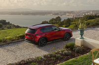 性能値は市場によって異なるとのことだが、当初のパワーユニットはマイルドハイブリッドの2.5リッターエンジンのみとされている。