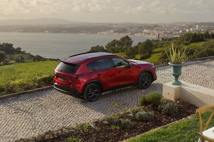 性能値は市場によって異なるとのことだが、当初のパワーユニットはマイルドハイブリッドの2.5リッターエンジンのみとされている。