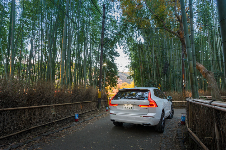 縦長のコンビランプでボルボらしさが演出される、「XC60 T8 Twin Engine AWDインスクリプション」のリアビュー。