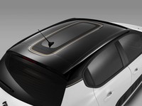 「C3オリジンズ」のブロンズカラーストライプデコレーション（ルーフステッカー）。