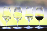 テイスティングに供されたワイン。白ワインは左からグレイス茅ヶ岳 白、グレイス グリド甲州、甲州 鳥居平畑プライベートリザーブで、すべて甲州種100％でヴィンテージは2014年。赤ワインは、グレイス メルロ2012。