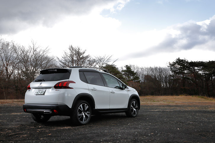 「2008 GTライン」に用意されるボディーカラーは全5色。テスト車には「ビアンカ・ホワイト」が用いられていた。