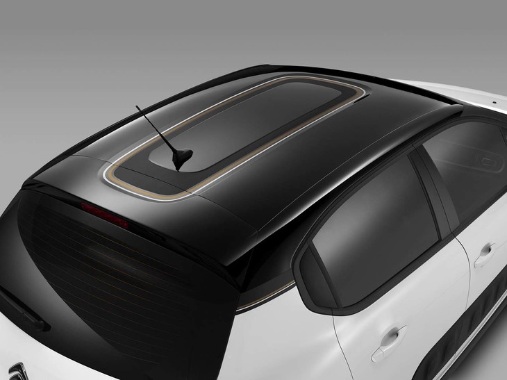 「C3オリジンズ」のブロンズカラーストライプデコレーション（ルーフステッカー）。