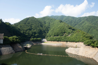 深城ダムの水面。この日は風がほとんどなかったため、周囲の緑がきれいに映り込んでいる。
