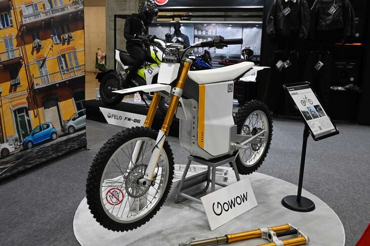 ゴーワオ・オーリ