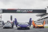 ランボルギーニのフラッグシップらしい跳ね上げ式のドアを踏襲。ヘッドランプをはじめとしたY字のモチーフも受け継いでいる。