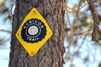 「ルビコン トレイル」路肩の樹木に貼られたマーキング。