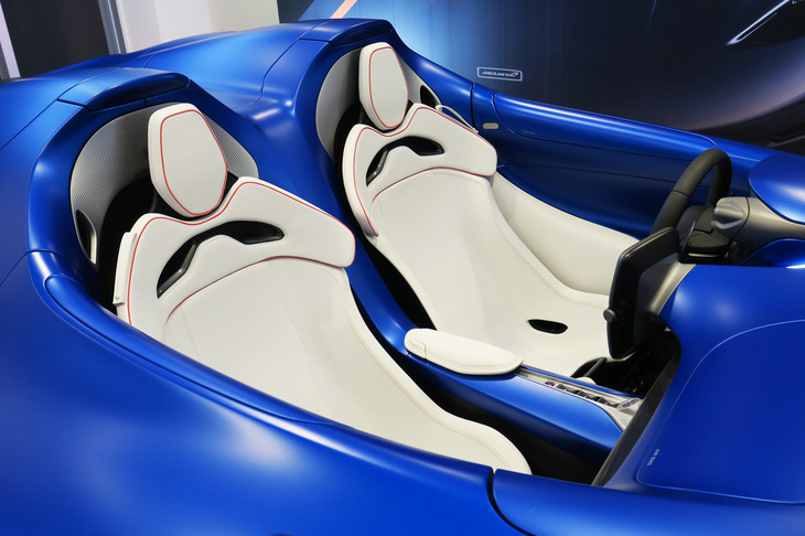 マクラーレン・エルヴァ（シート）