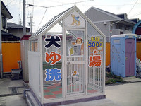 第28回：お犬さまの……の画像