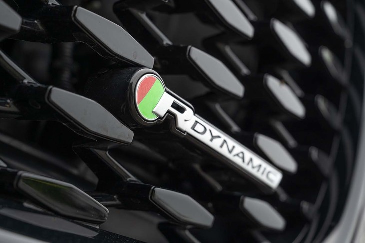 フロントグリルのメッシュはダイヤモンドパターンに変更されている。