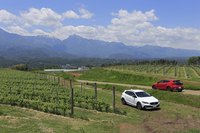 赤い「V40 T5 R-DESIGN」側の畑ではカベルネ・ソーヴィニヨン、白い「V40クロスカントリー T5 AWD」側ではメルロが育てられている。
    