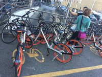 2017年9月にフィレンツェでもサービスが始まったシェア自転車「モバイク」。すでに同市内では、毎日約7700人が利用している。一方で、横断歩道上をはじめとする迷惑な乗り捨て行為も問題となっている。