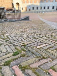 普段は大勢の人々が憩うカンポ広場。2カ月にわたって人通りが激減したことから、レンガの間に草が生えていた。