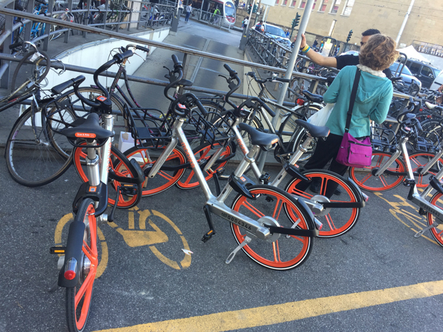 2017年9月にフィレンツェでもサービスが始まったシェア自転車「モバイク」。すでに同市内では、毎日約7700人が利用している。一方で、横断歩道上をはじめとする迷惑な乗り捨て行為も問題となっている。